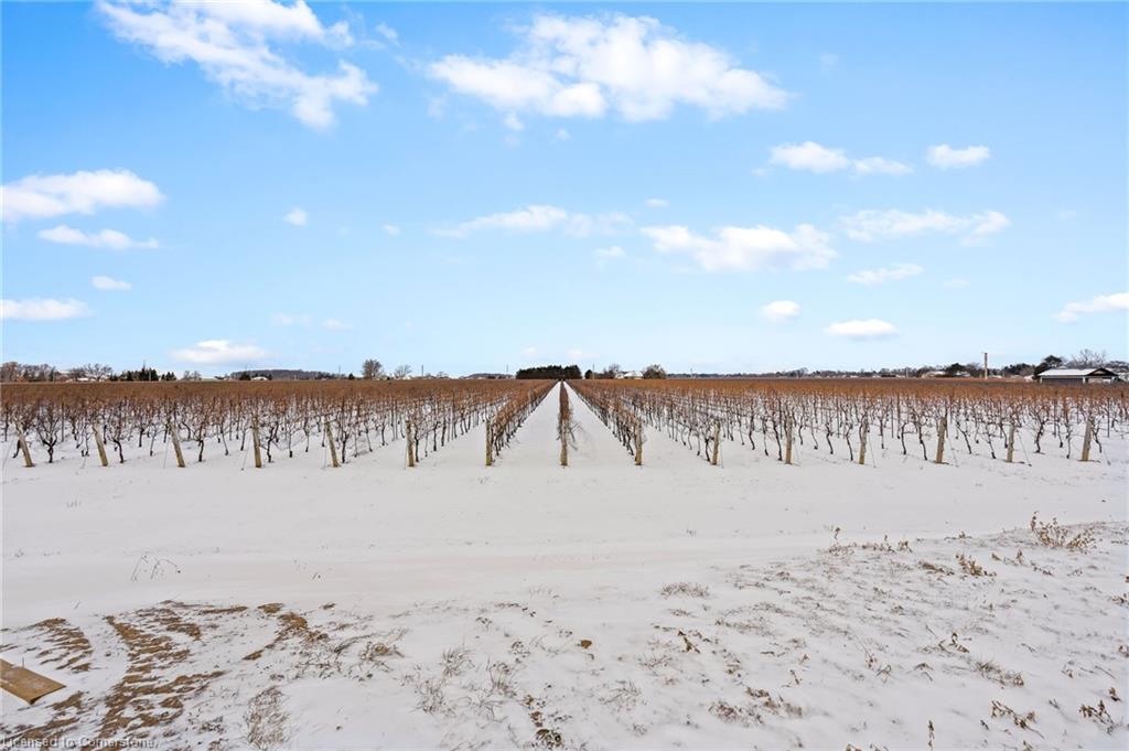 1074 Niagara Stone Road Property Photo 19