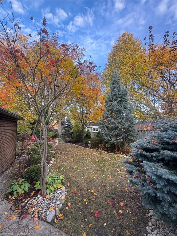 48 Fairview Avenue Property Photo 34