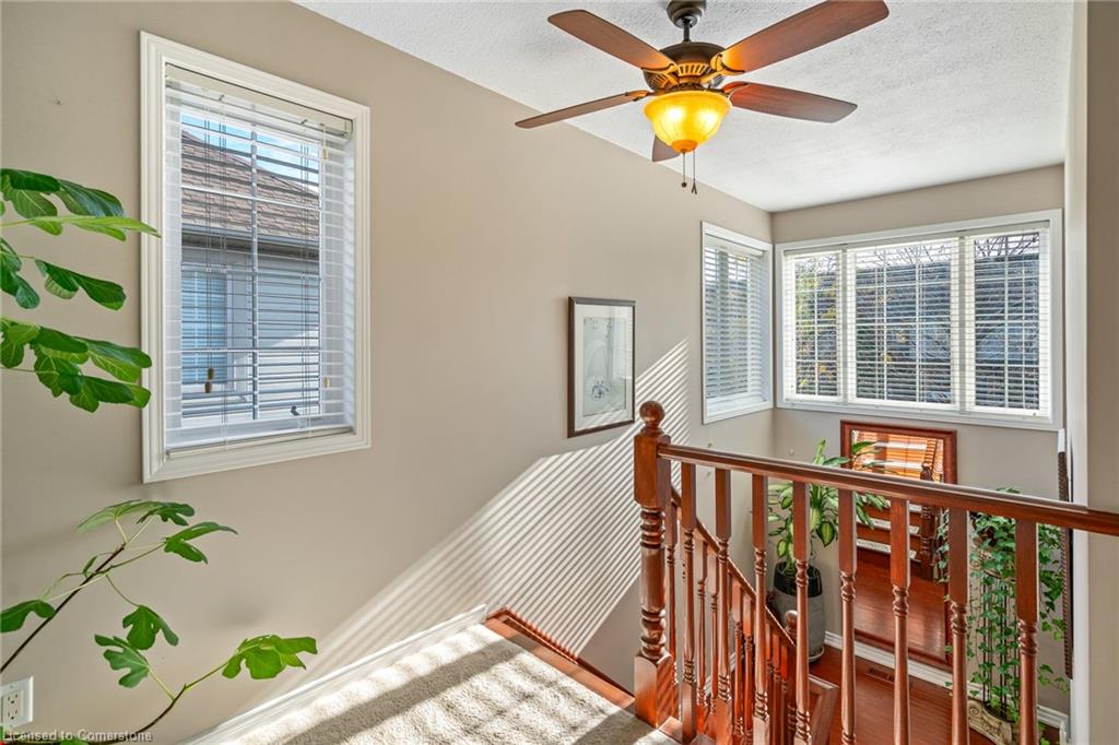 28 Elderberry Avenue Property Photo 16