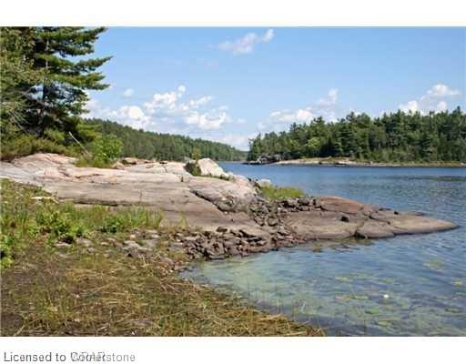 3351 Miller Island Property Photo 6