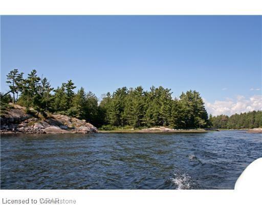 3351 Miller Island Property Photo 8