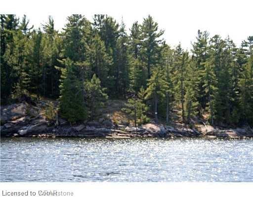 3351 Miller Island Property Photo 9