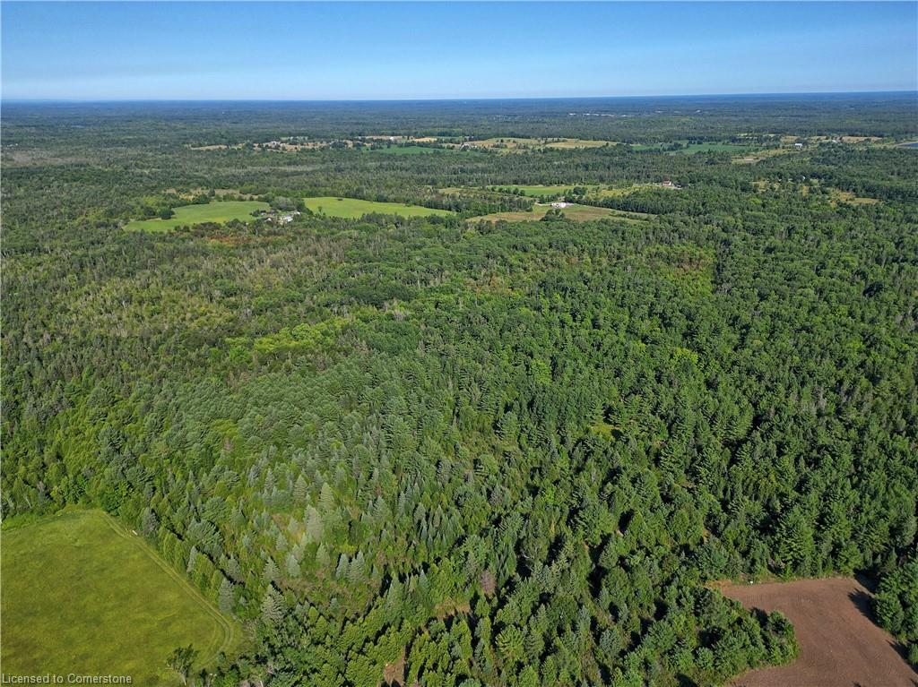 1058 Northline Road Property Photo 5