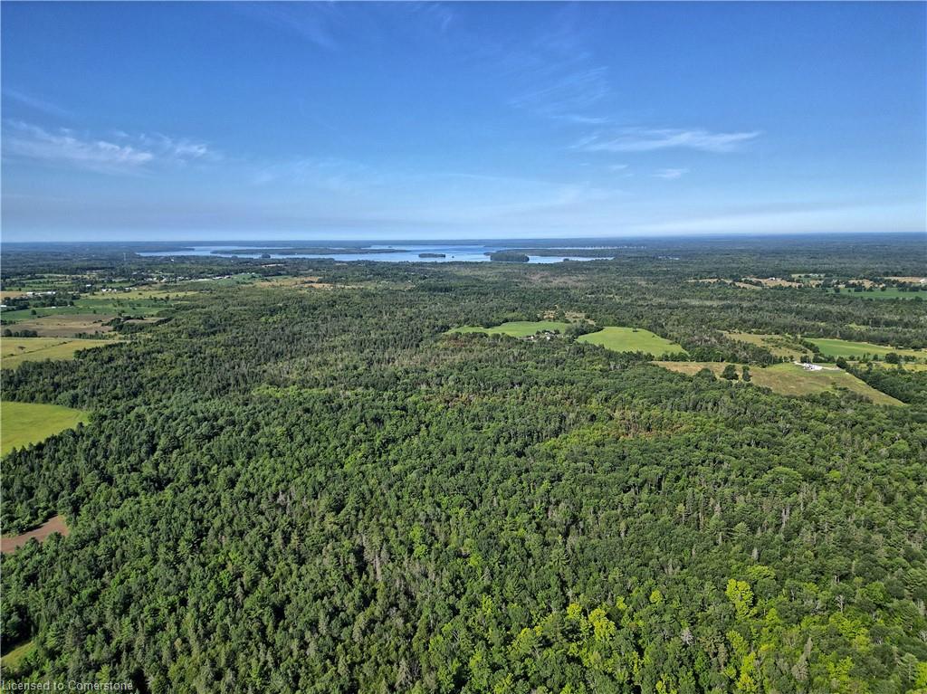 1058 Northline Road Property Photo 7