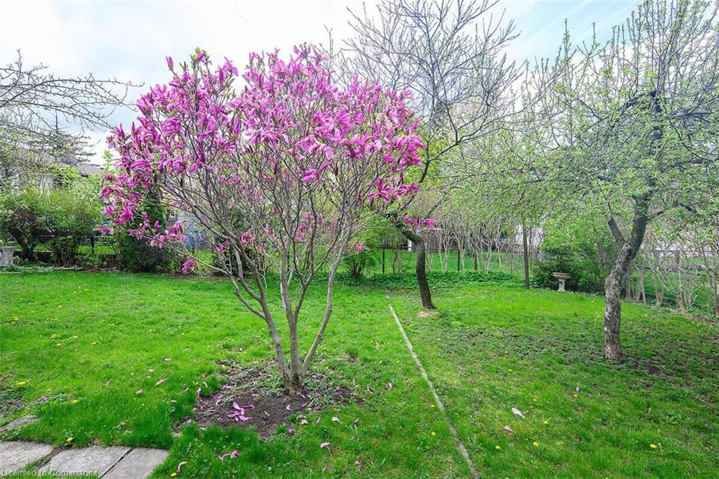 144 Deschene Avenue Property Photo 2