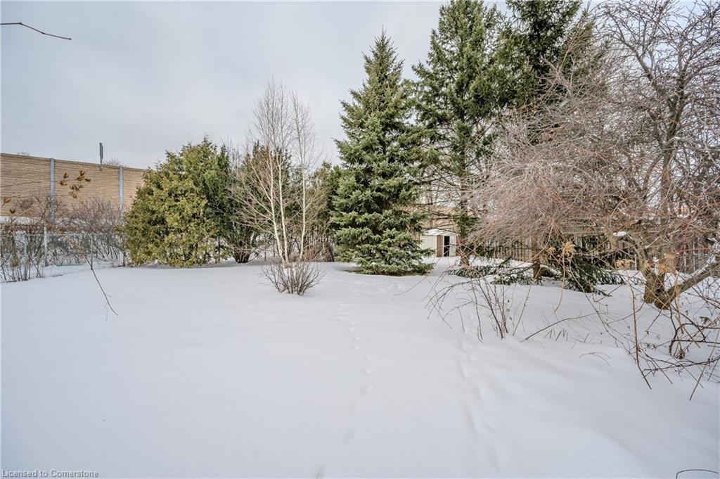 100 Boniface Avenue Property Photo 42