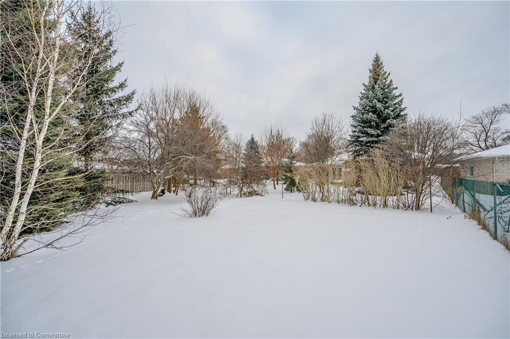 100 Boniface Avenue Property Photo 44