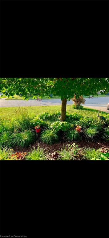 1 Beynon Court Property Photo 44