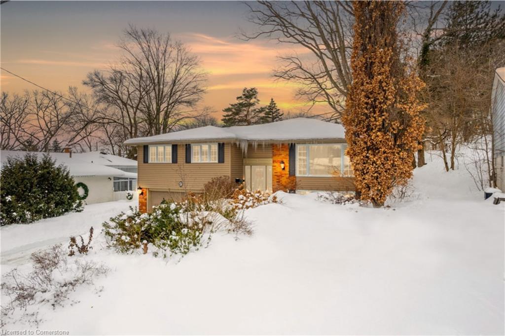 9 Martingrove Drive Property Photo