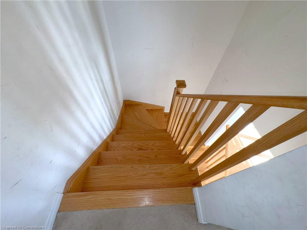 41 Cooke Avenue Property Photo 28