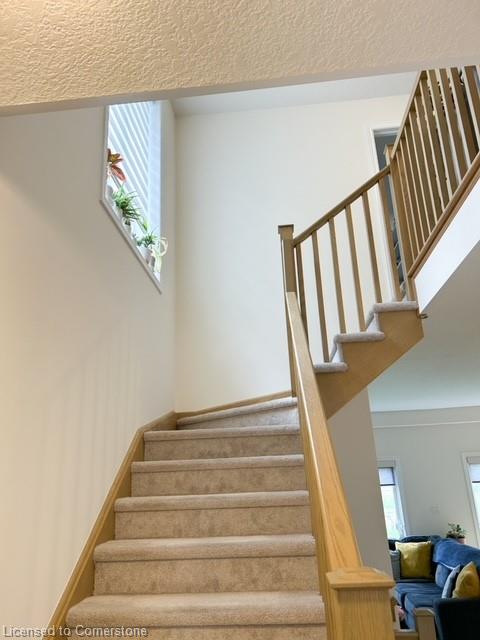 70 Genoa Drive Property Photo 9
