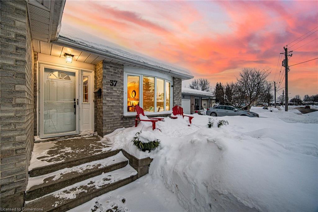 37 Edward Street Property Photo 3