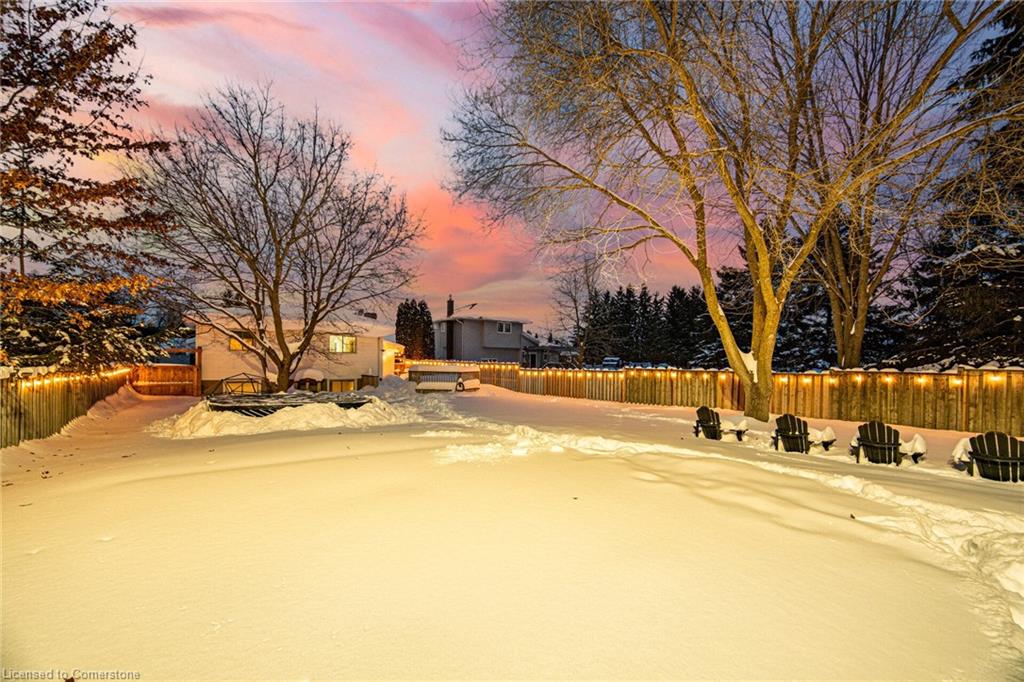 37 Edward Street Property Photo 40