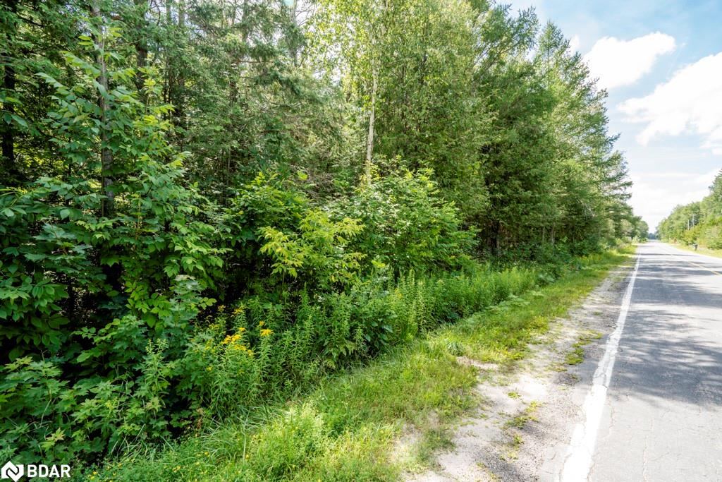 5349 30th Side Road Property Photo 8