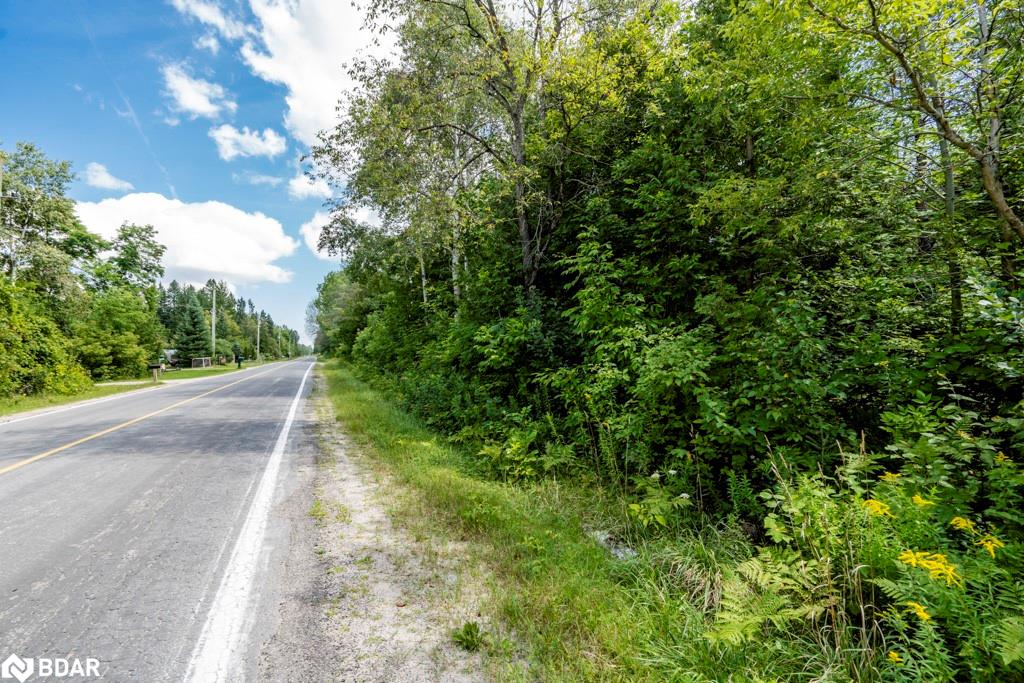 5349 30th Side Road Property Photo 9
