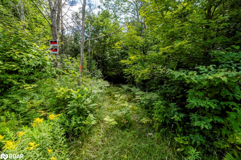 5349 30th Side Road Property Photo 10