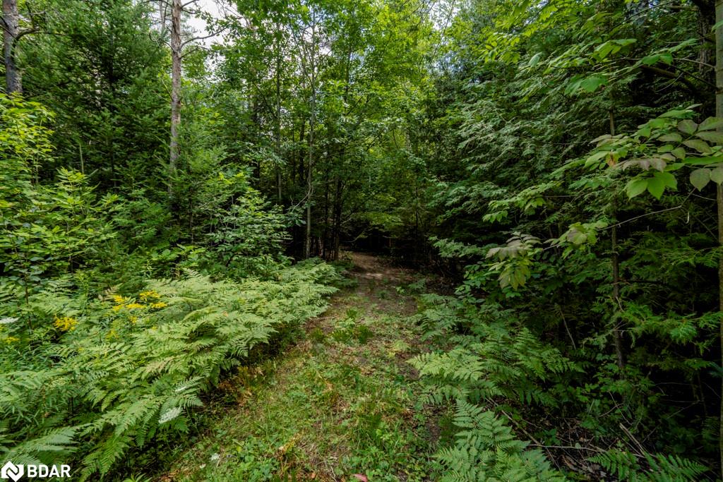 5349 30th Side Road Property Photo 11