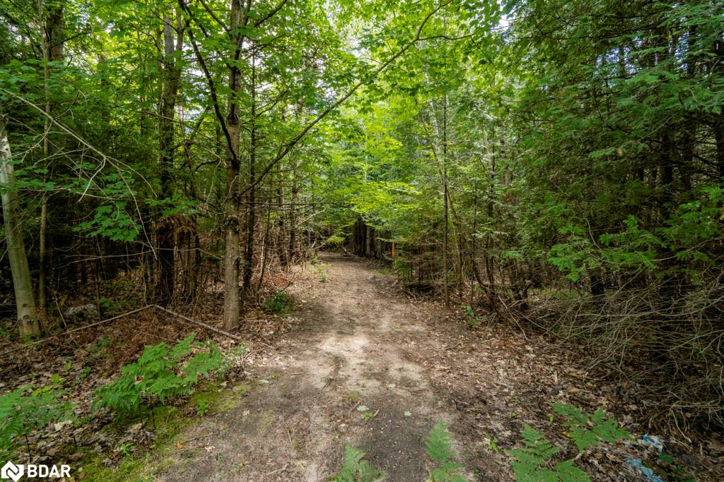 5349 30th Side Road Property Photo 12