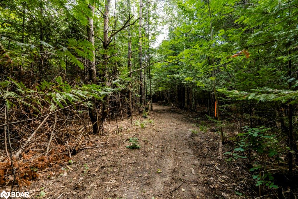 5349 30th Side Road Property Photo 13