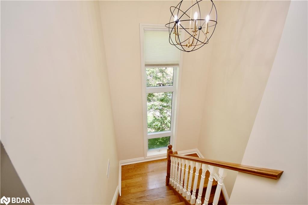 60 Balsam Street Property Photo 19