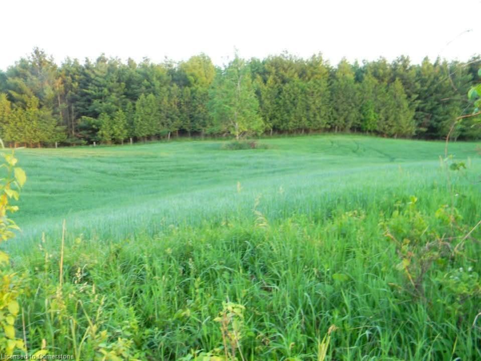 6185 16th Line Property Photo 30