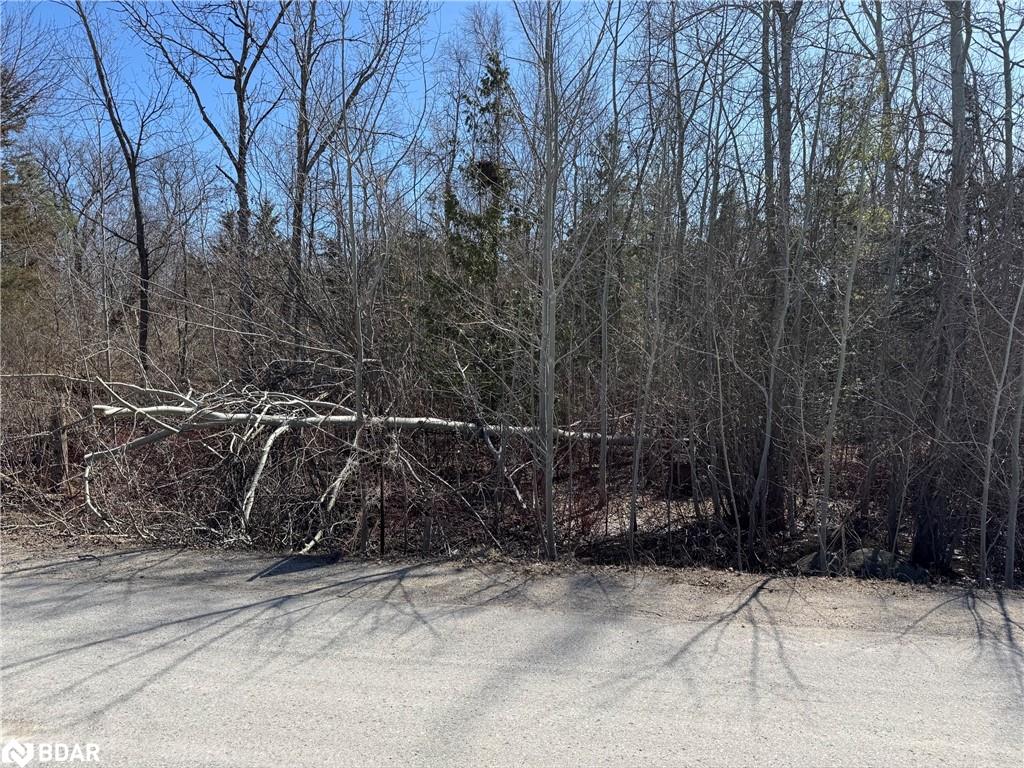 1450 Thomas Drive Property Photo