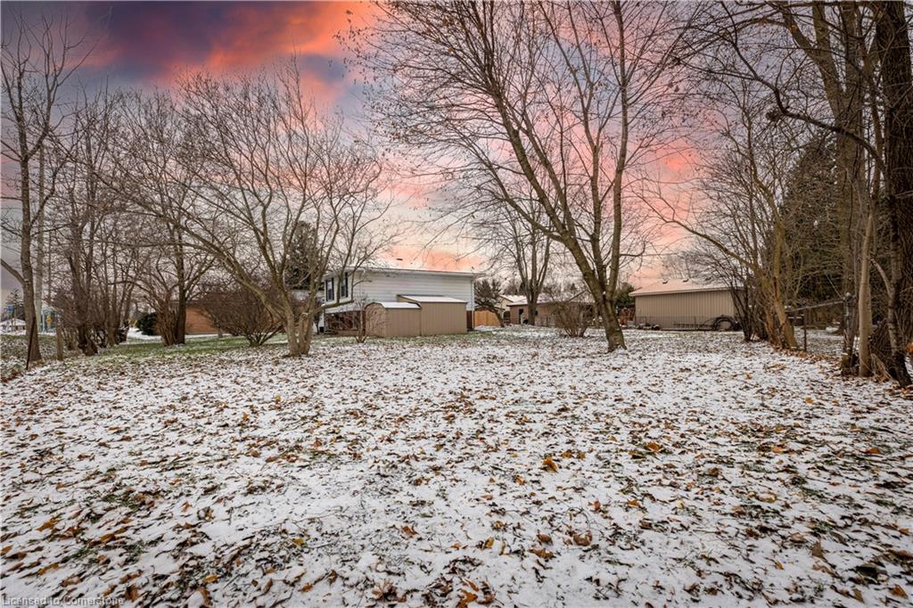 598 Mapledale Avenue Property Photo 6
