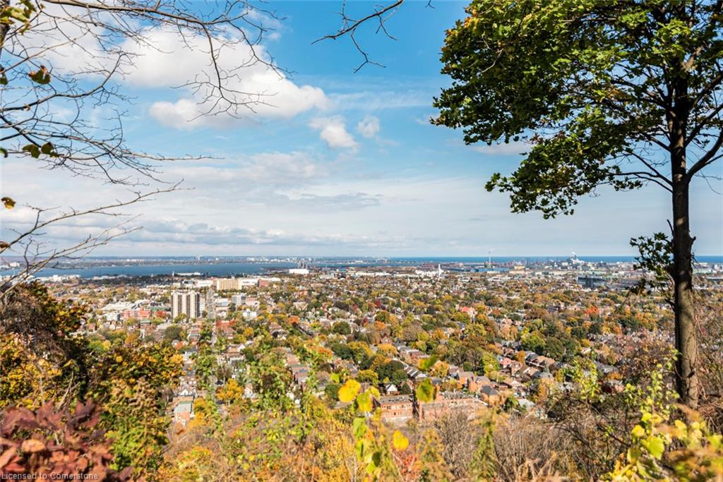 18 Cliff Avenue Property Photo 46