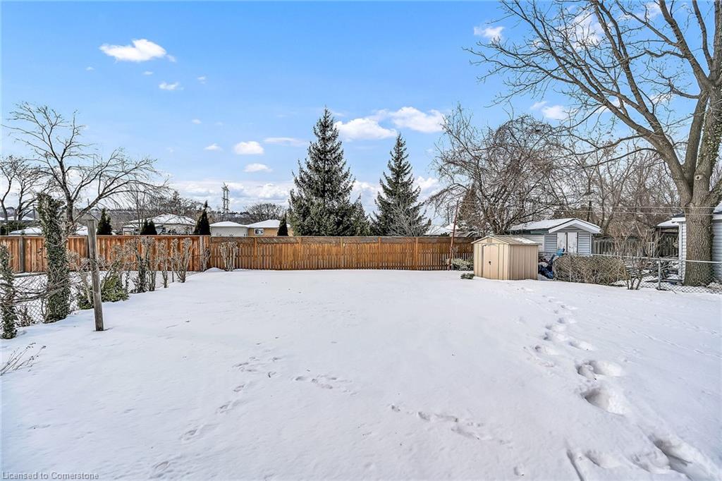 118 Charlotte Street Property Photo 33