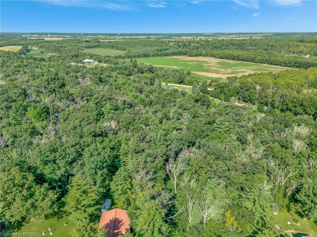 169 Clarke Road Property Photo