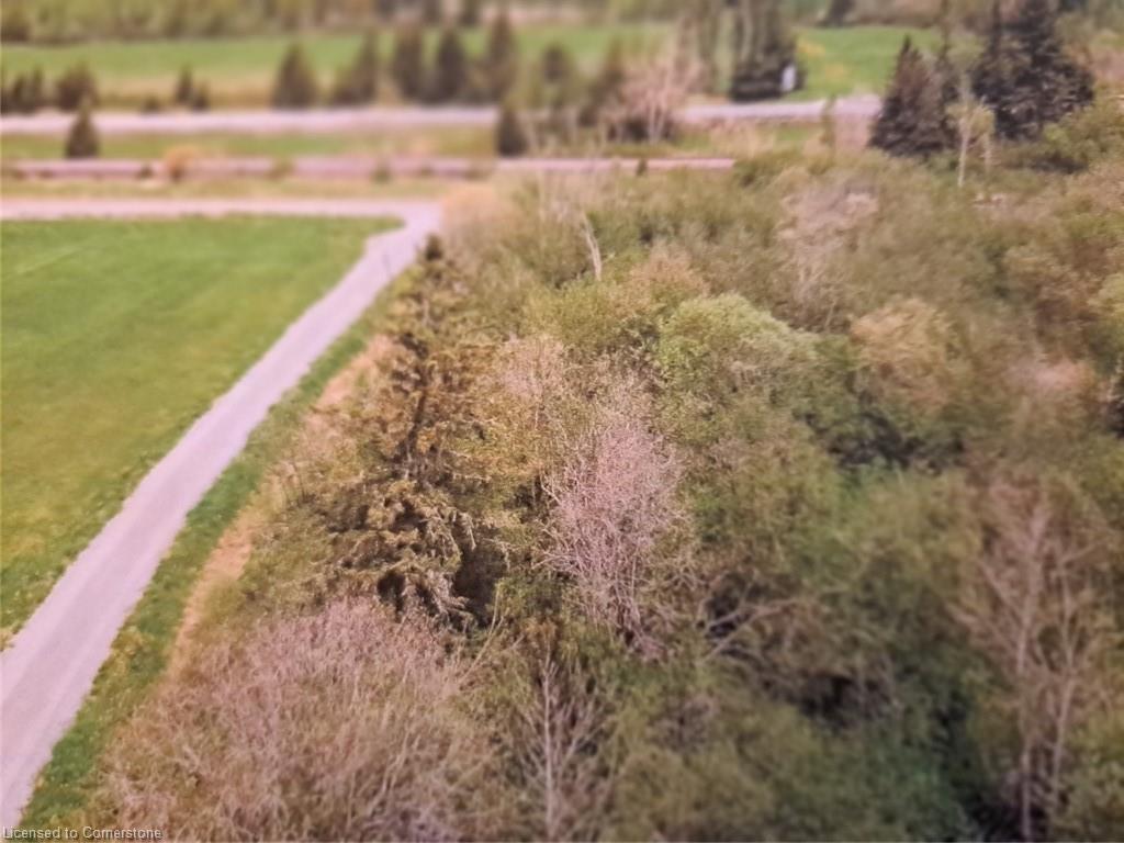 338 Old Hwy 17 Road Property Photo