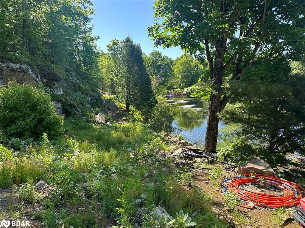 3950 Severn River Shore Property Photo 4