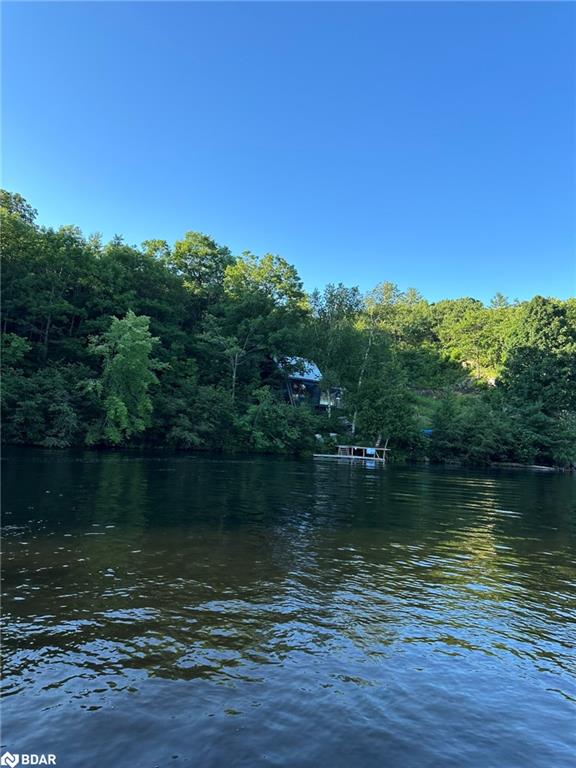 3950 Severn River Shore Property Photo 28