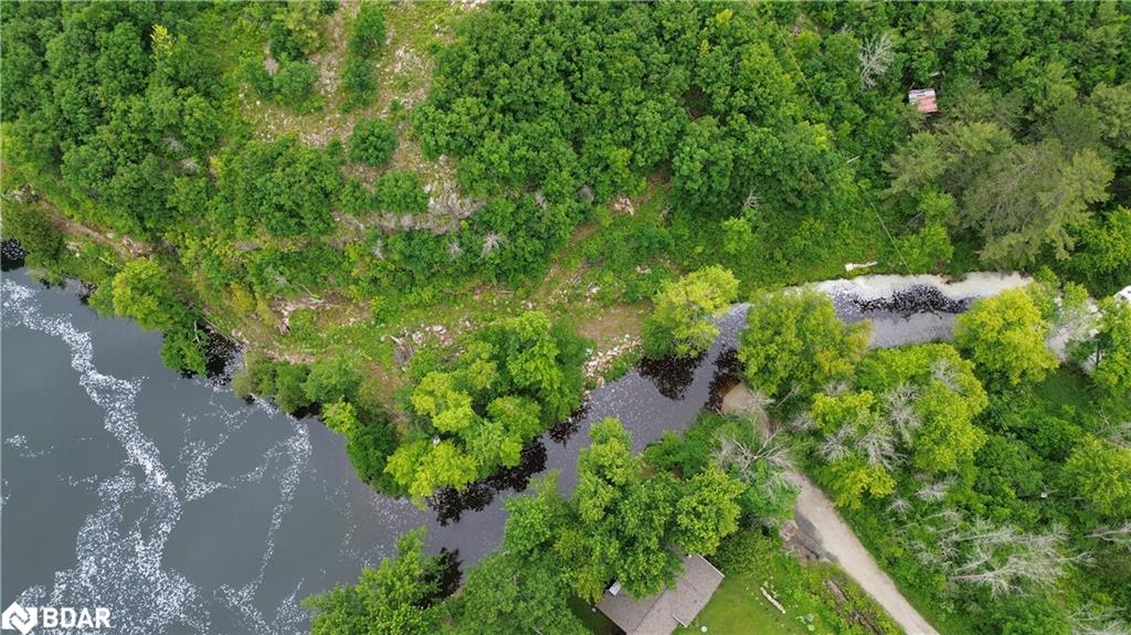 3950 Severn River Shore Property Photo 32