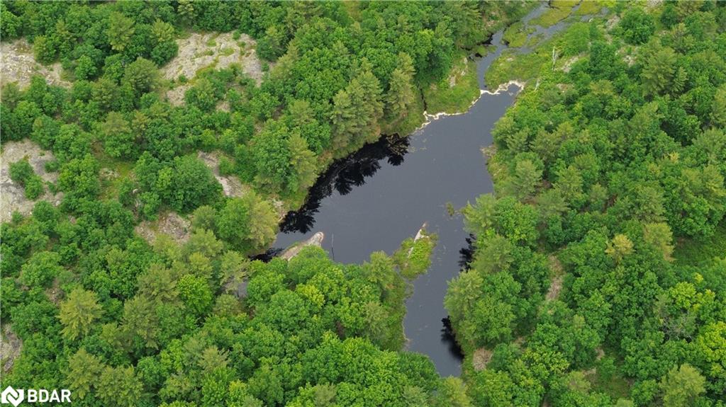 3950 Severn River Shore Property Photo 33
