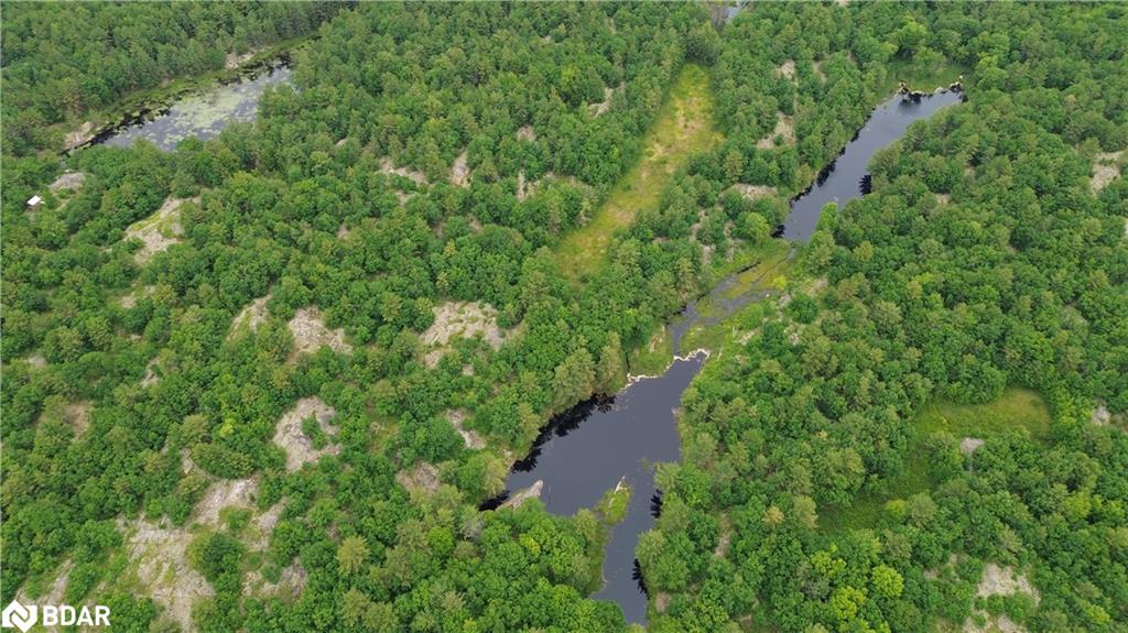 3950 Severn River Shore Property Photo 35