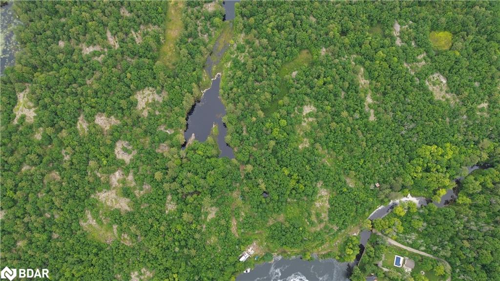3950 Severn River Shore Property Photo 38