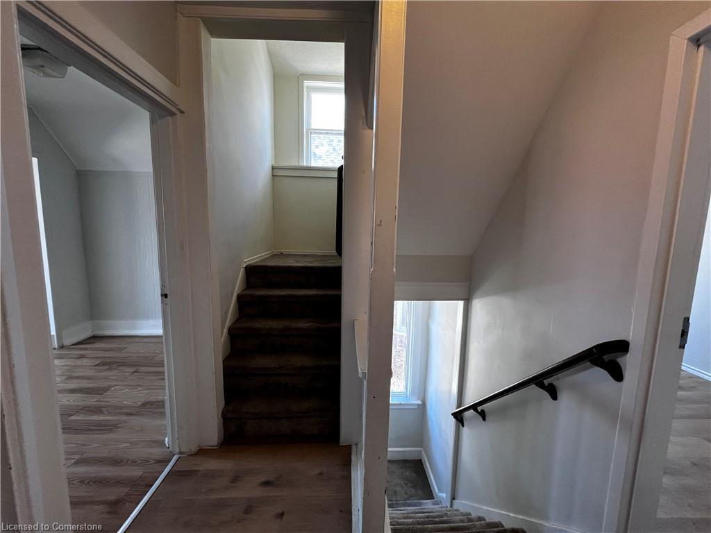 19 Schneider Avenue Property Photo 17