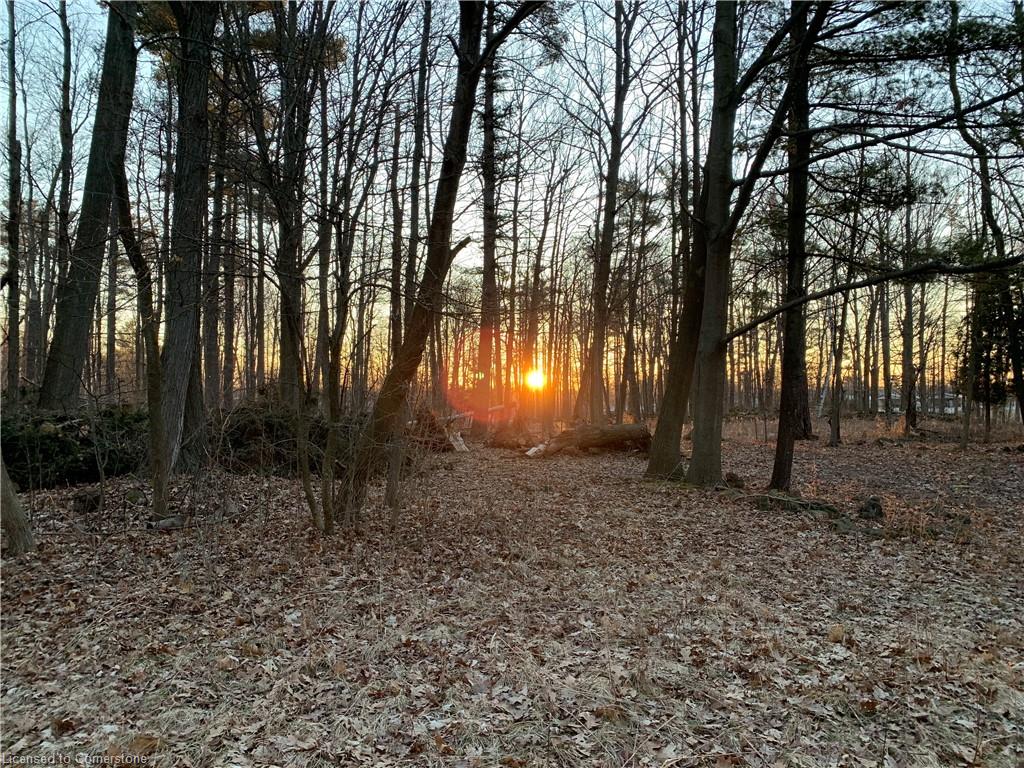 4449 Milburough Line Property Photo 24