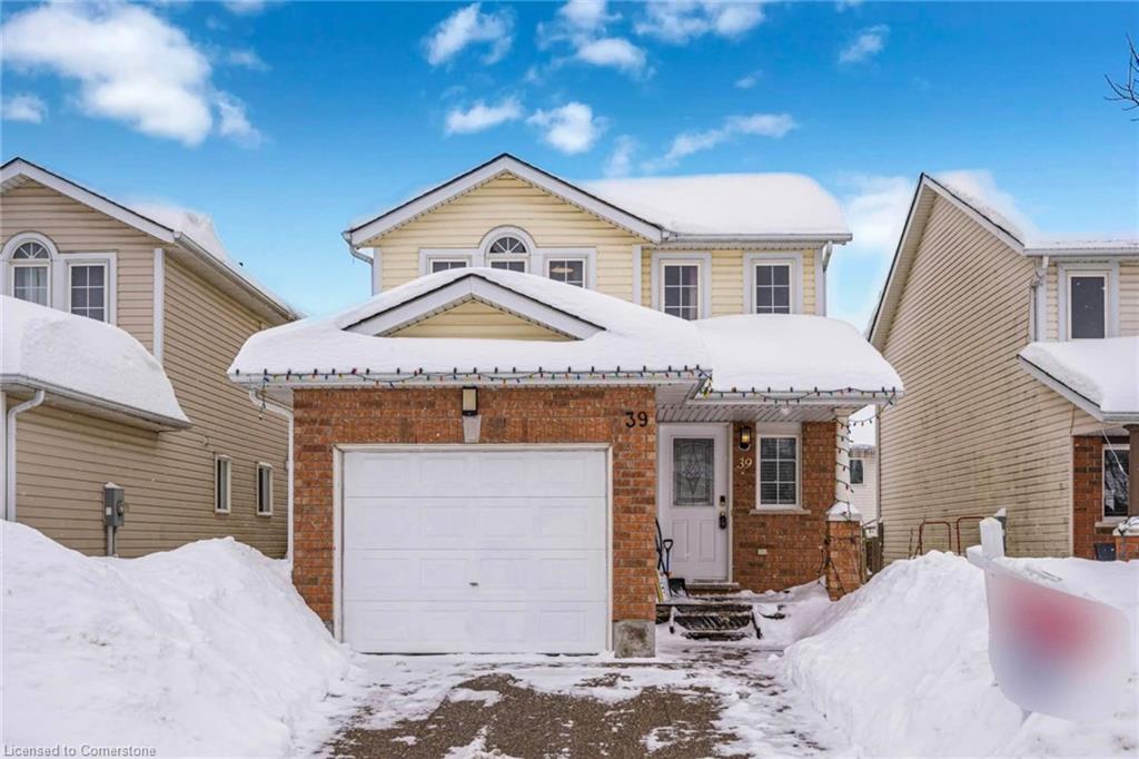 39 Dahlia Street Property Photo