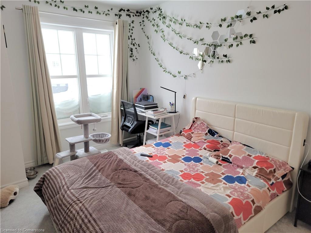 7 Fennell Street Property Photo 33