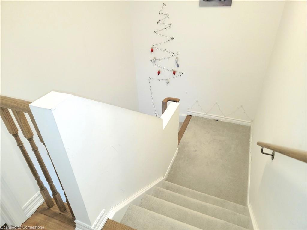 7 Fennell Street Property Photo 37
