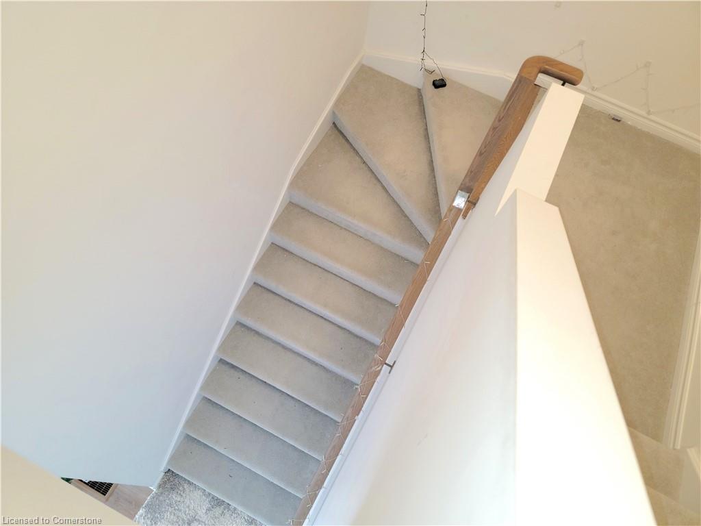 7 Fennell Street Property Photo 38
