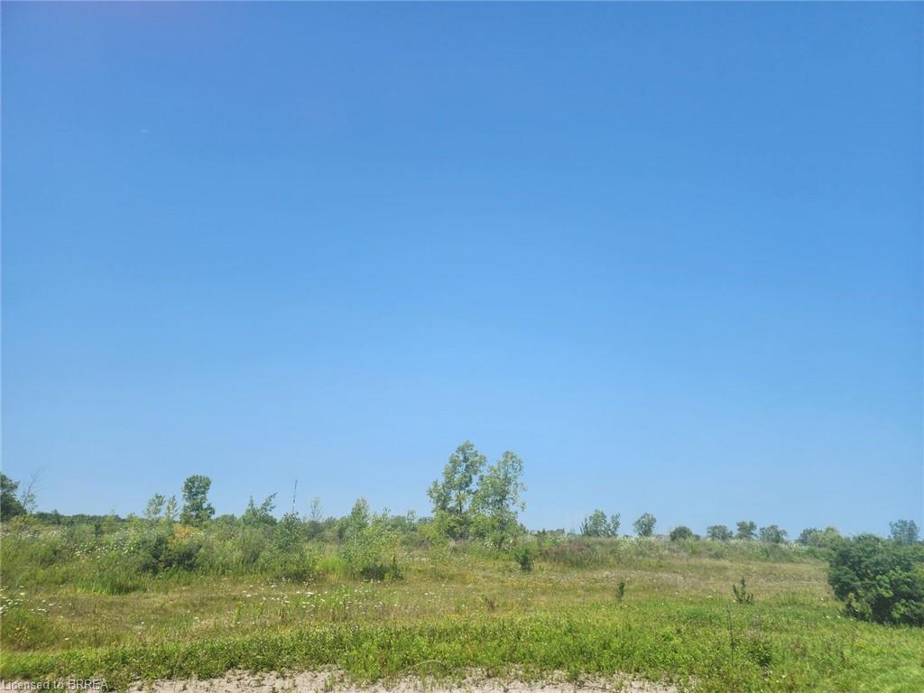 260 Colborne Street Property Photo 11