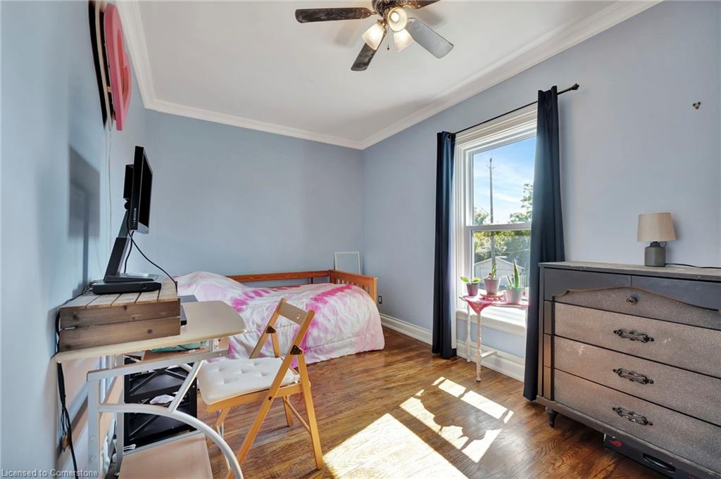 167 William Street Property Photo 29