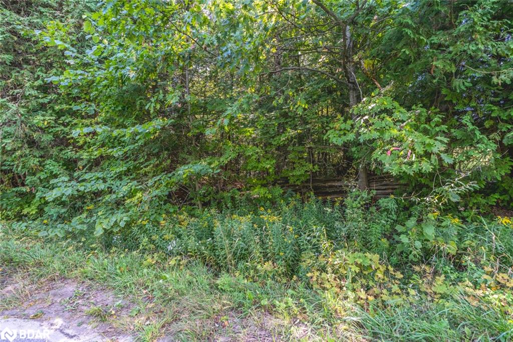 2960 Line 8 N Property Photo 5
