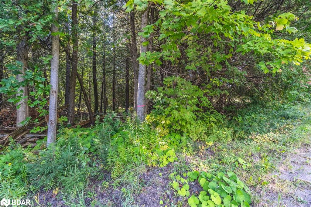 2960 Line 8 N Property Photo 7