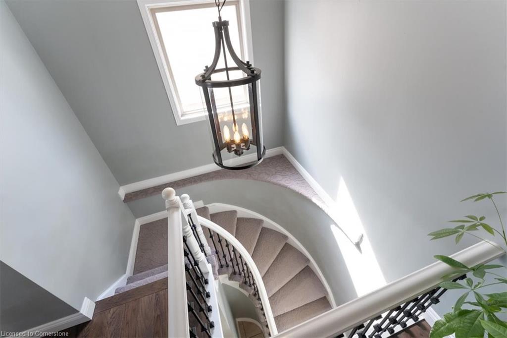 6 Tamarack Court Property Photo 24