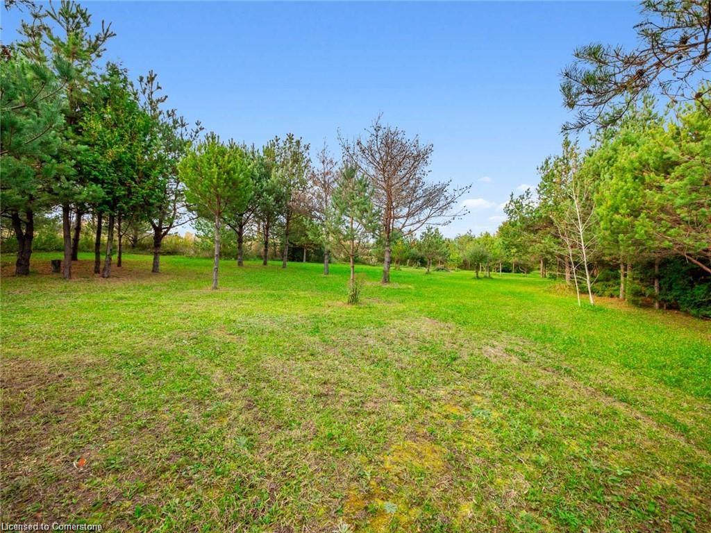 7530 Macpherson's Lane Property Photo 37