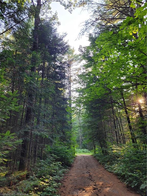 41-4727 Elephant Lake Road Property Photo 14